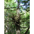 DSC01814
